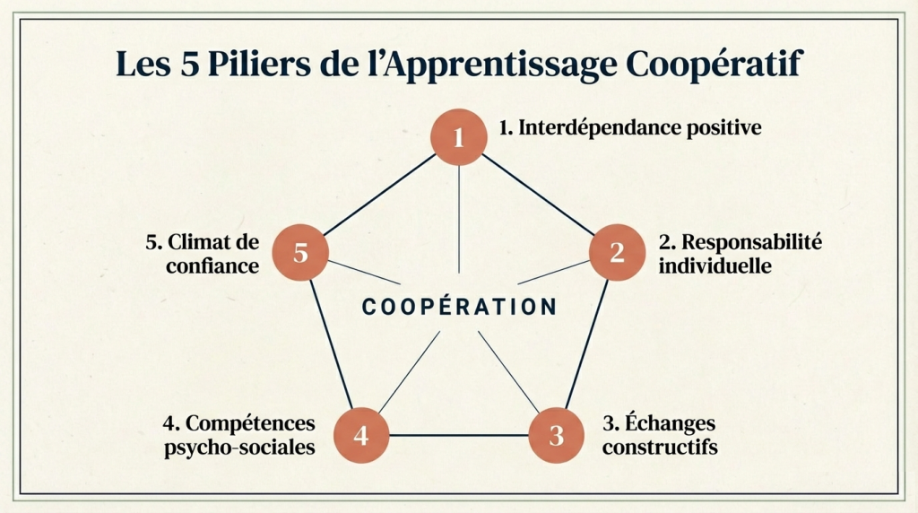 La coopération 2_4
